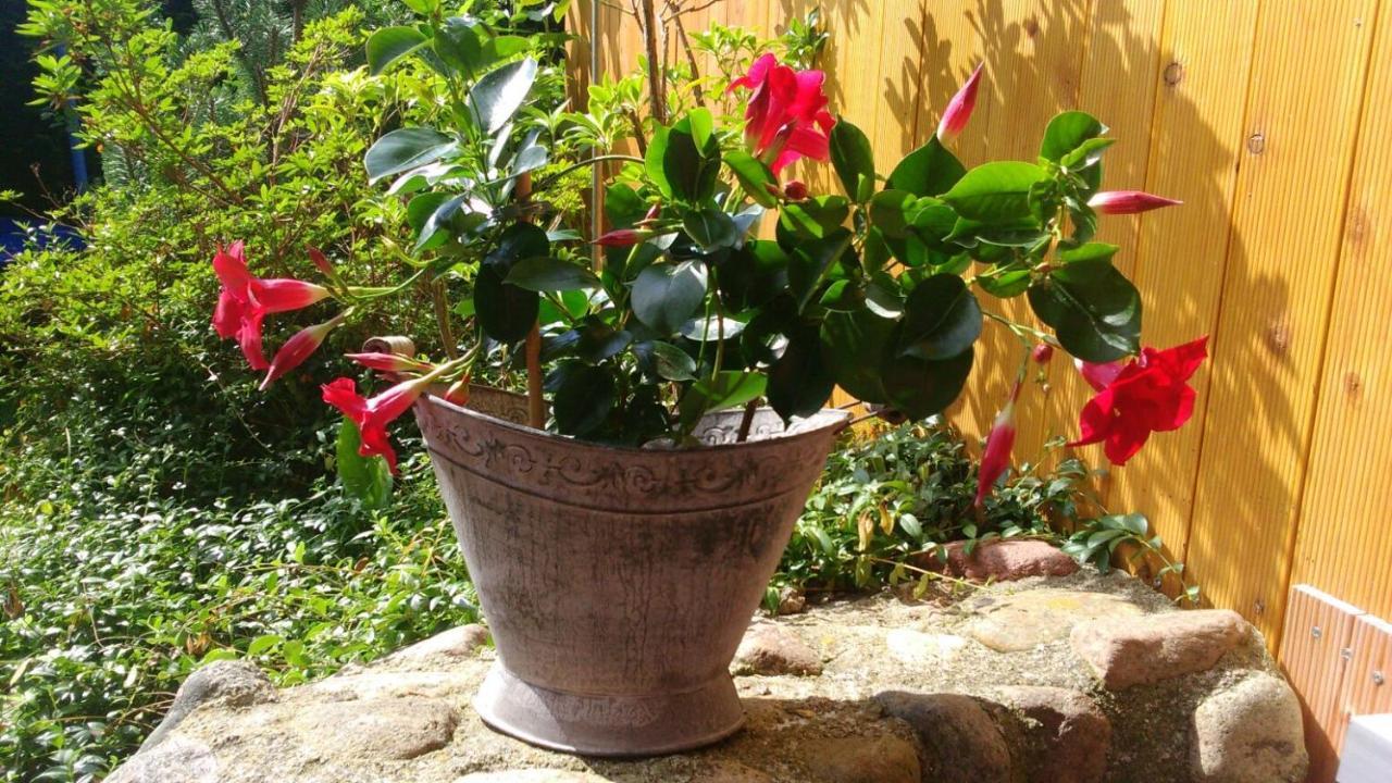 Ostseetraum Guest house 3*